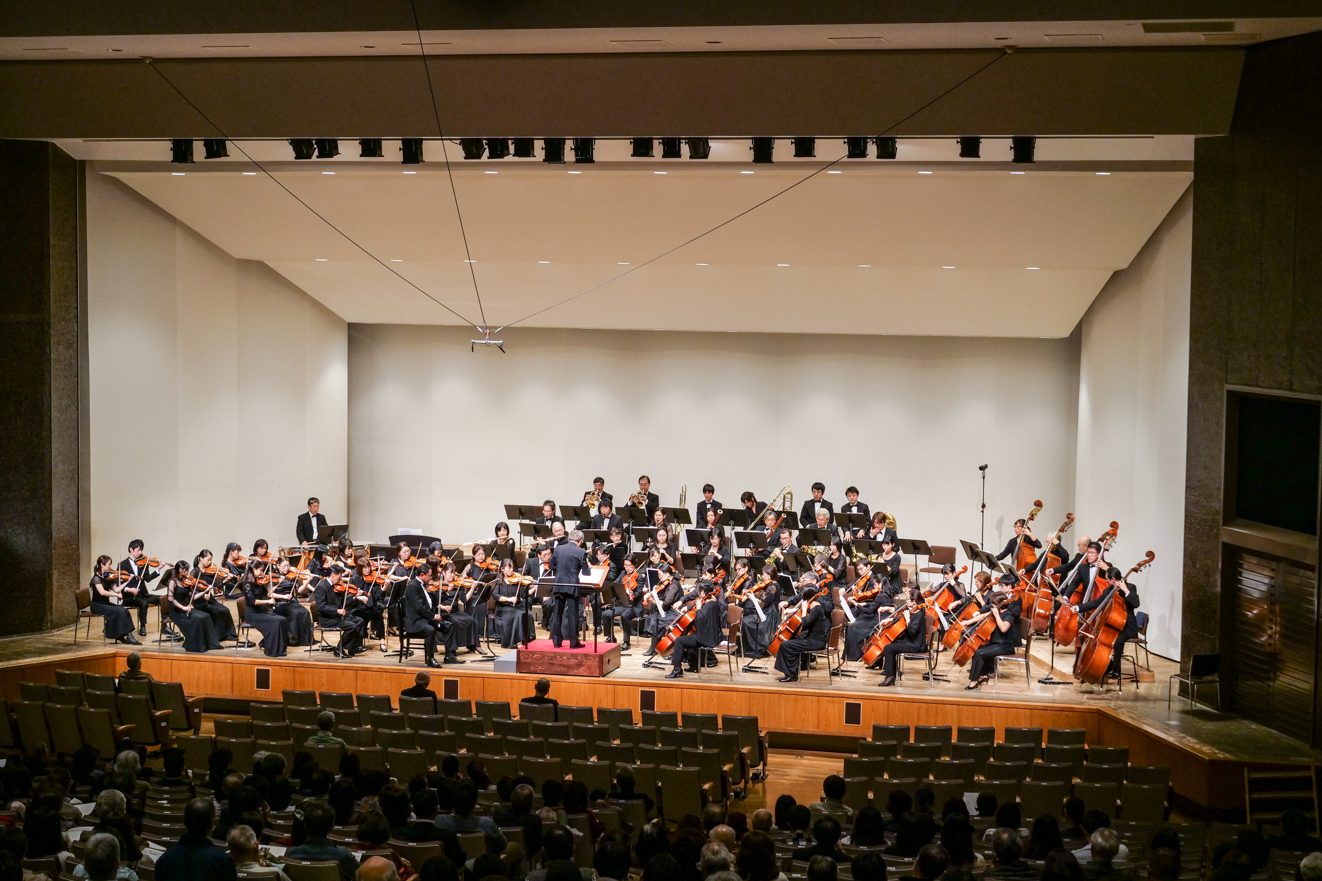 P1055414.jpg