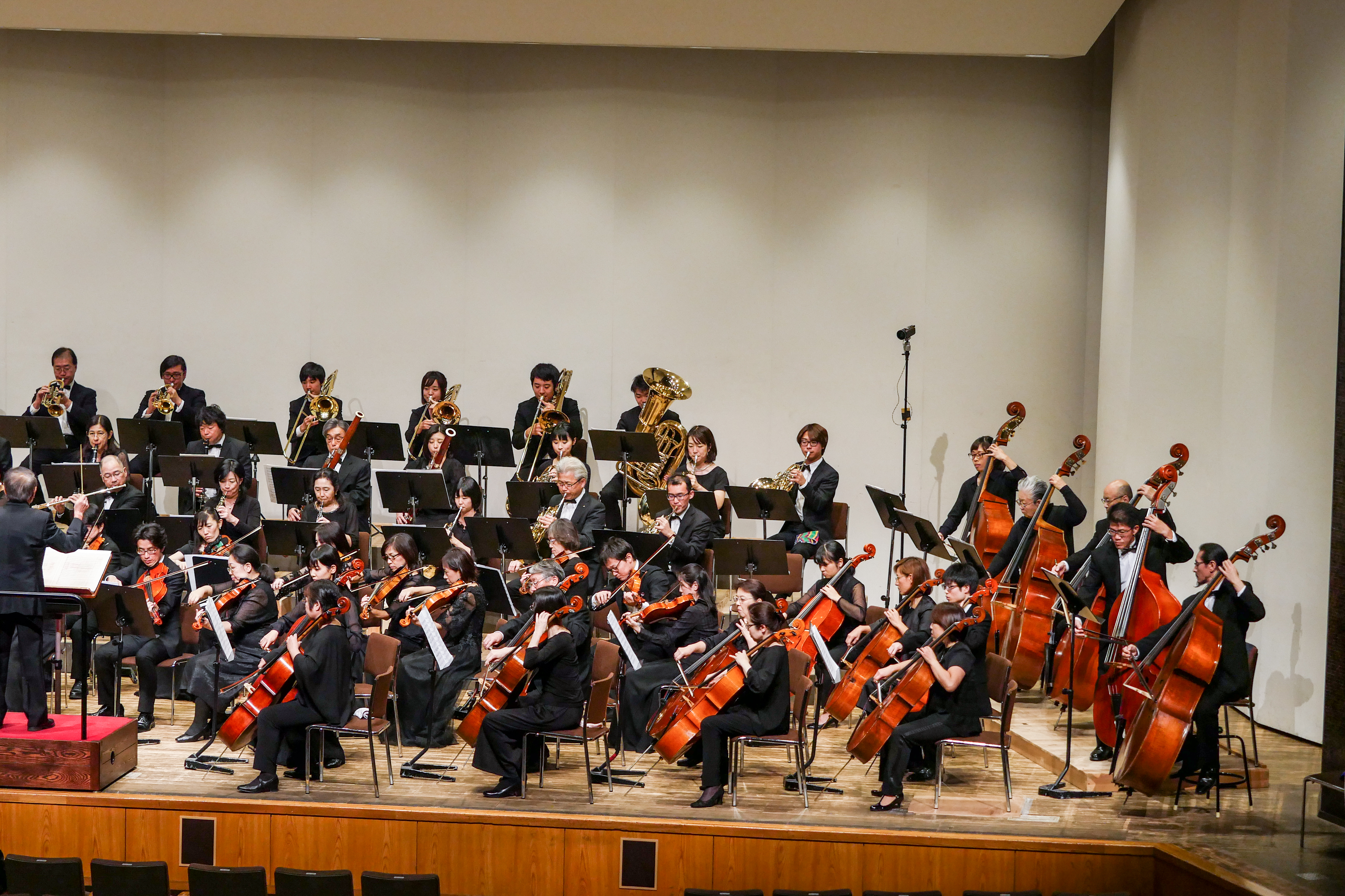 P1420471.jpg