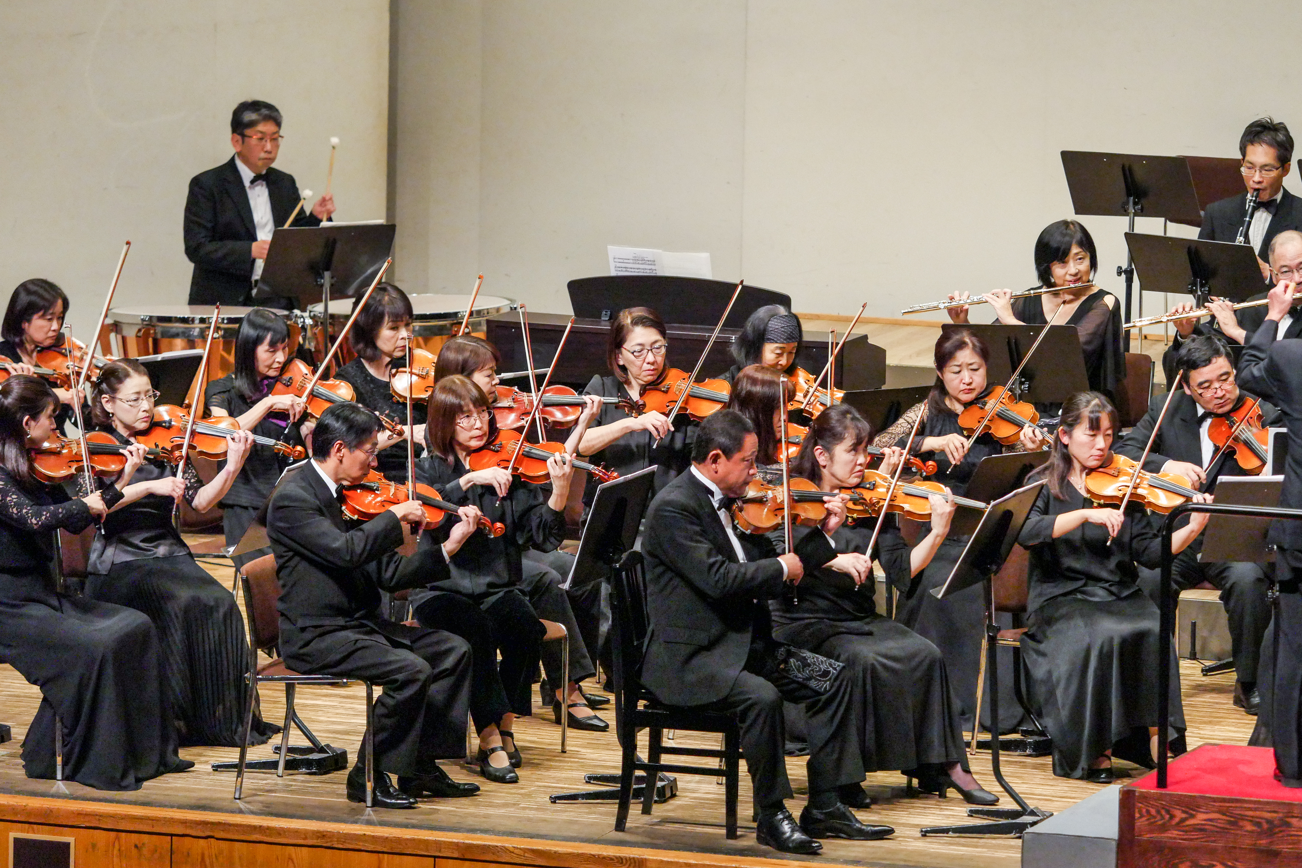 P1420527.jpg