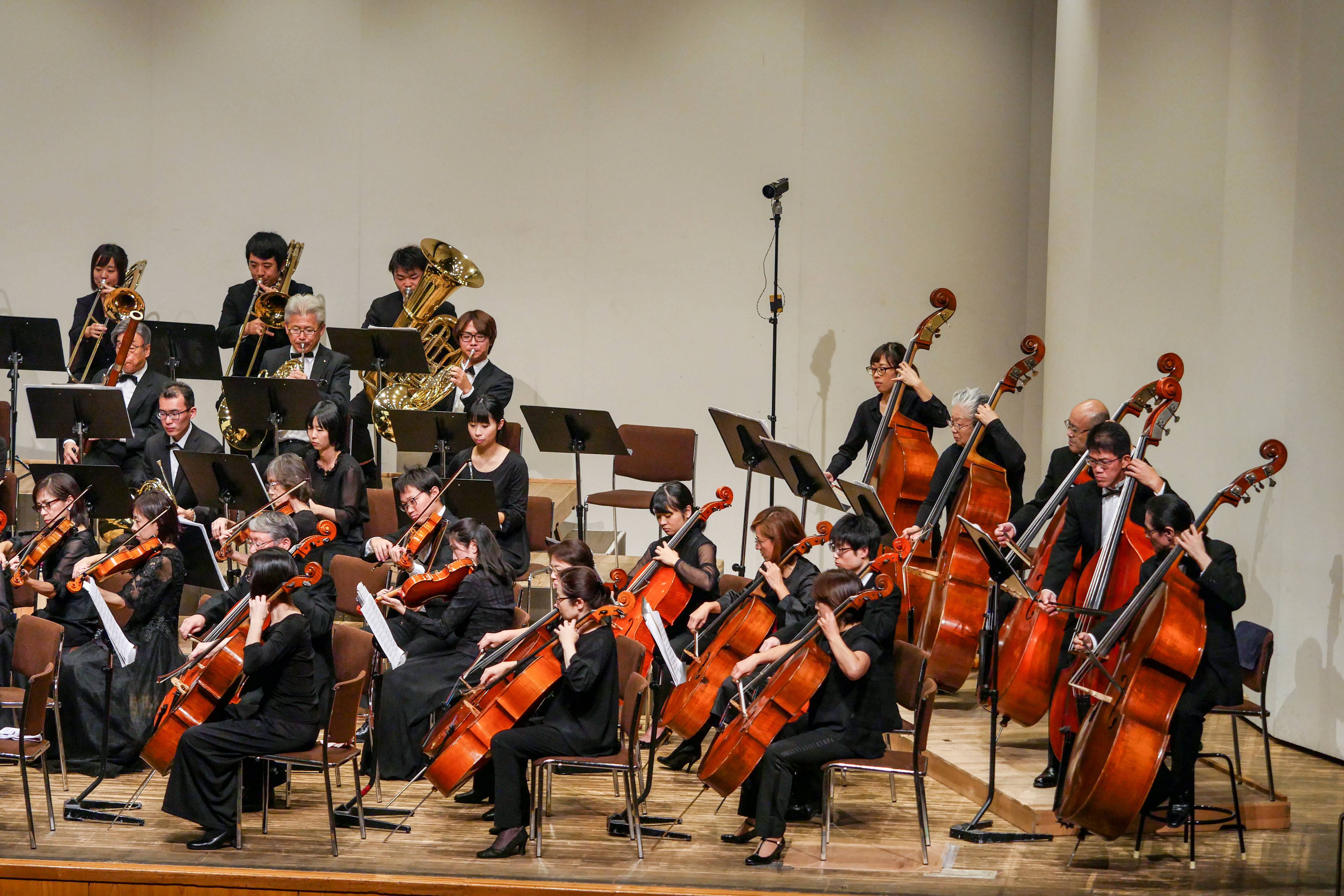 P1420545.jpg
