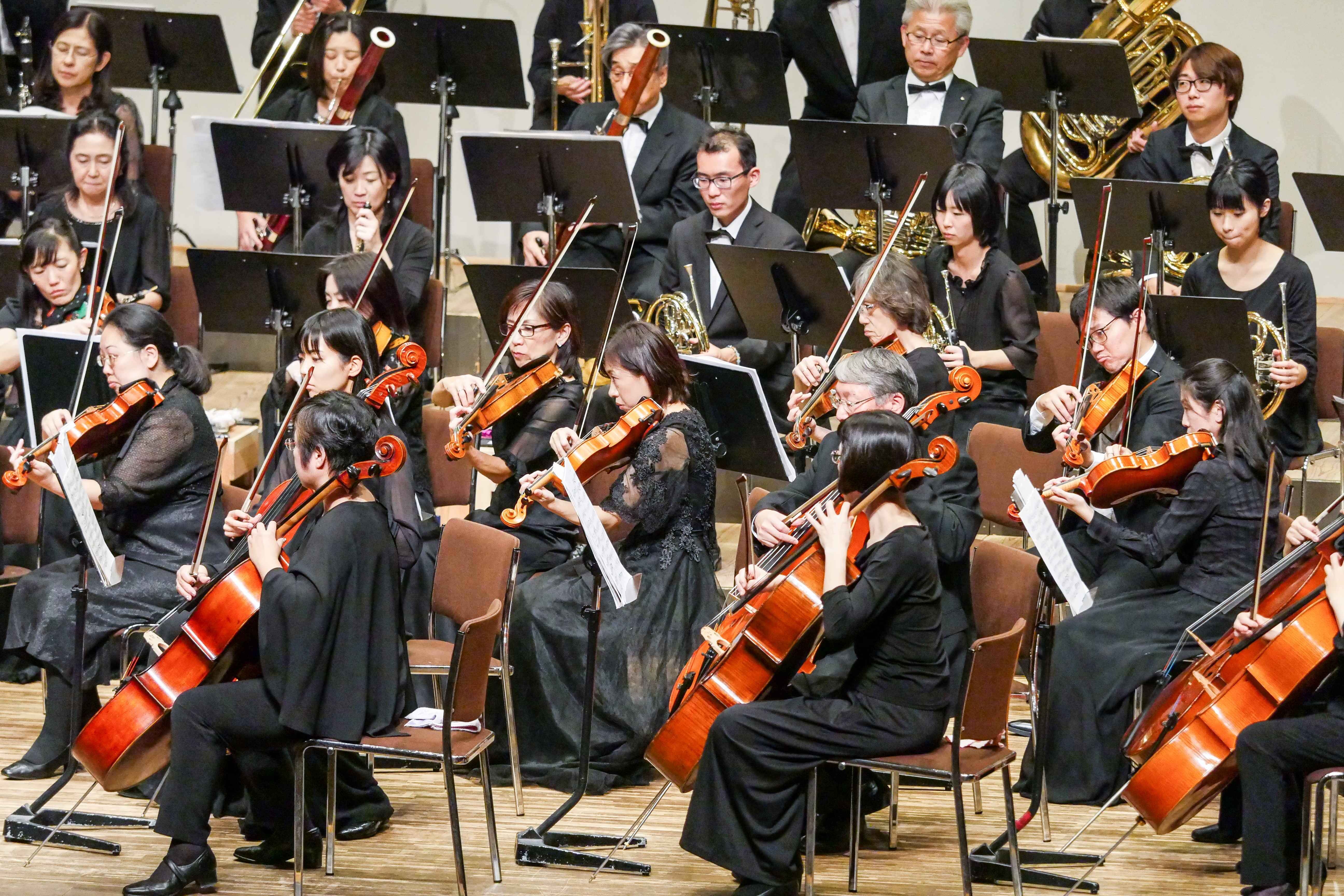 P1420558.jpg