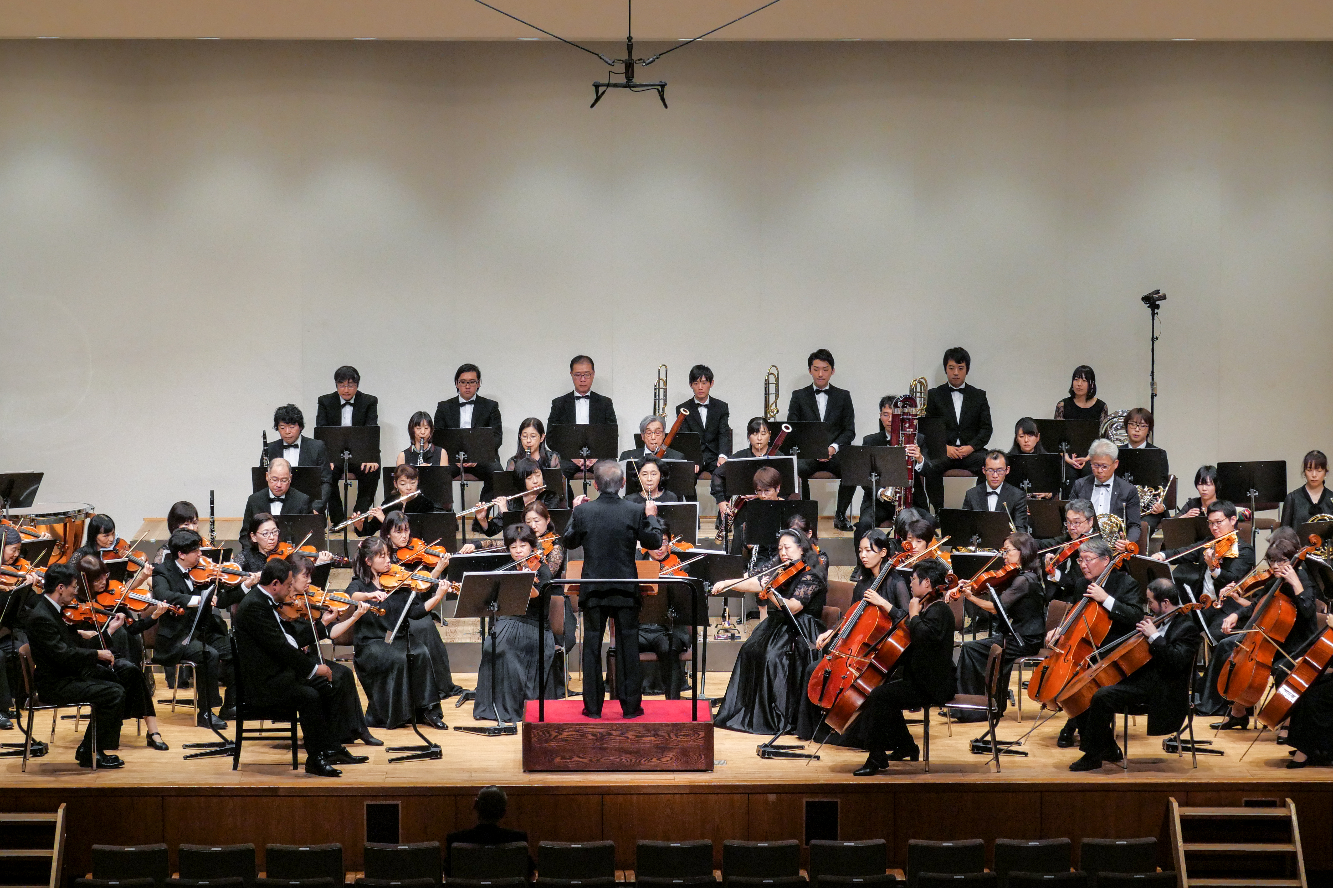 P1038698.jpg