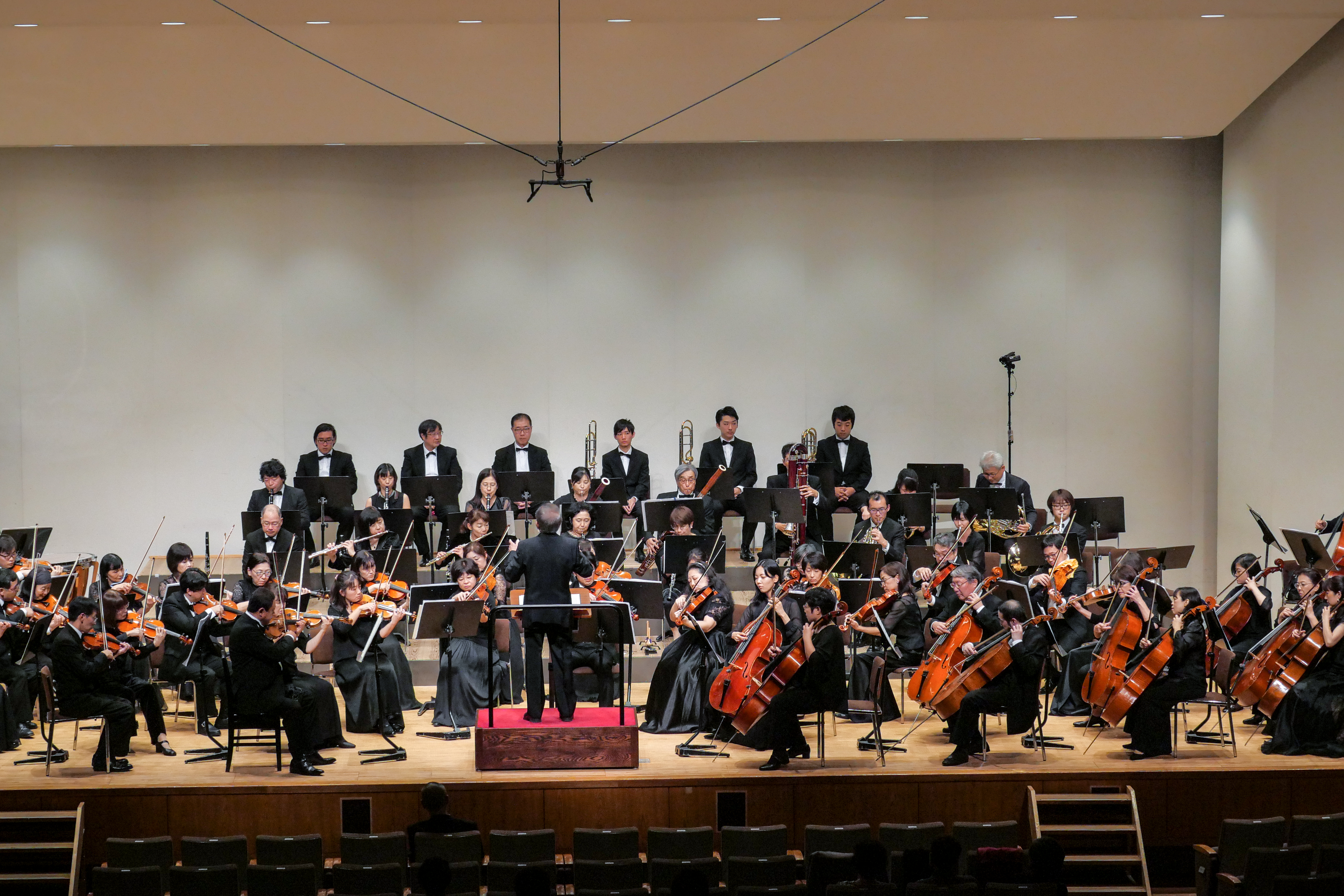 P1038751.jpg