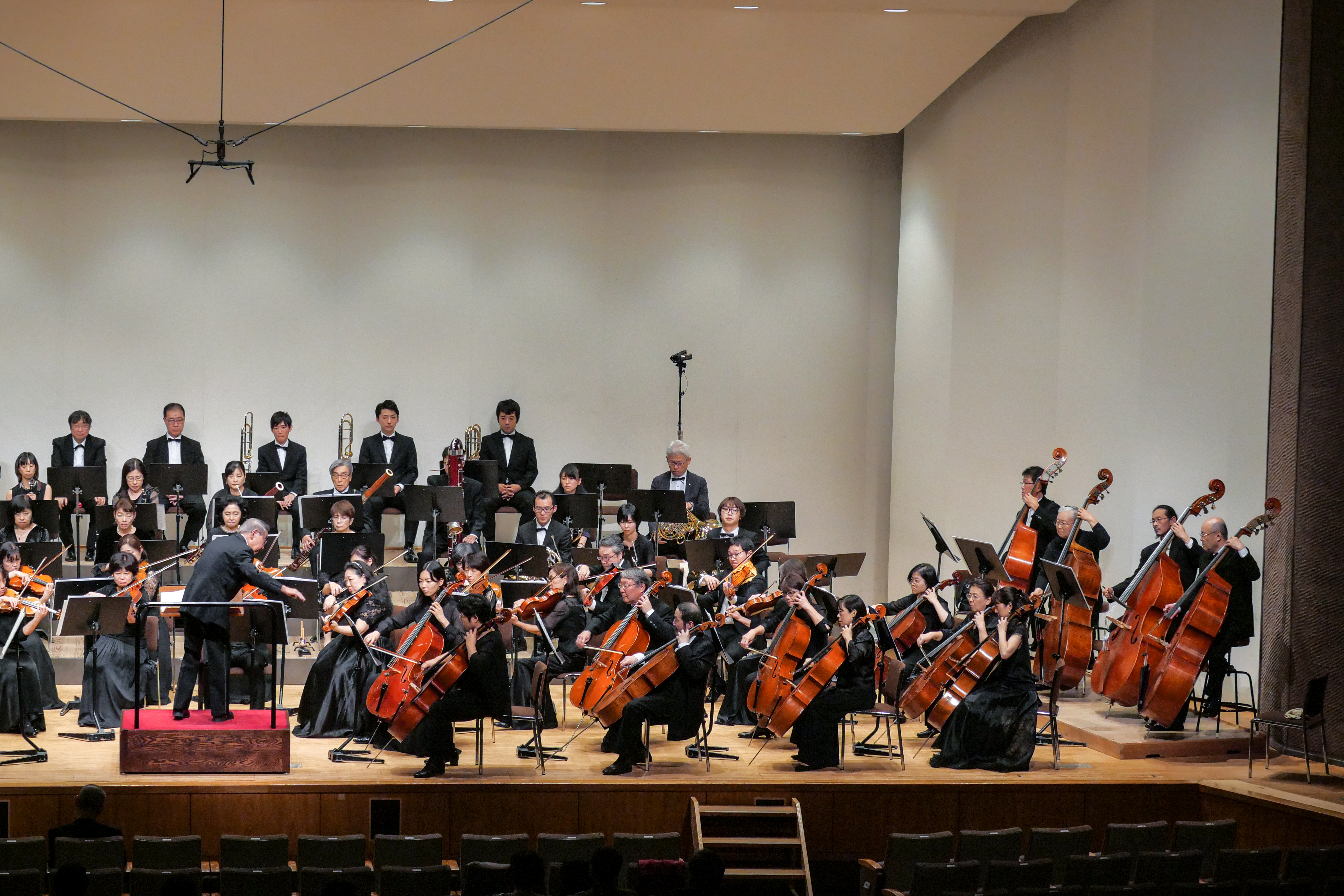 P1038781.jpg