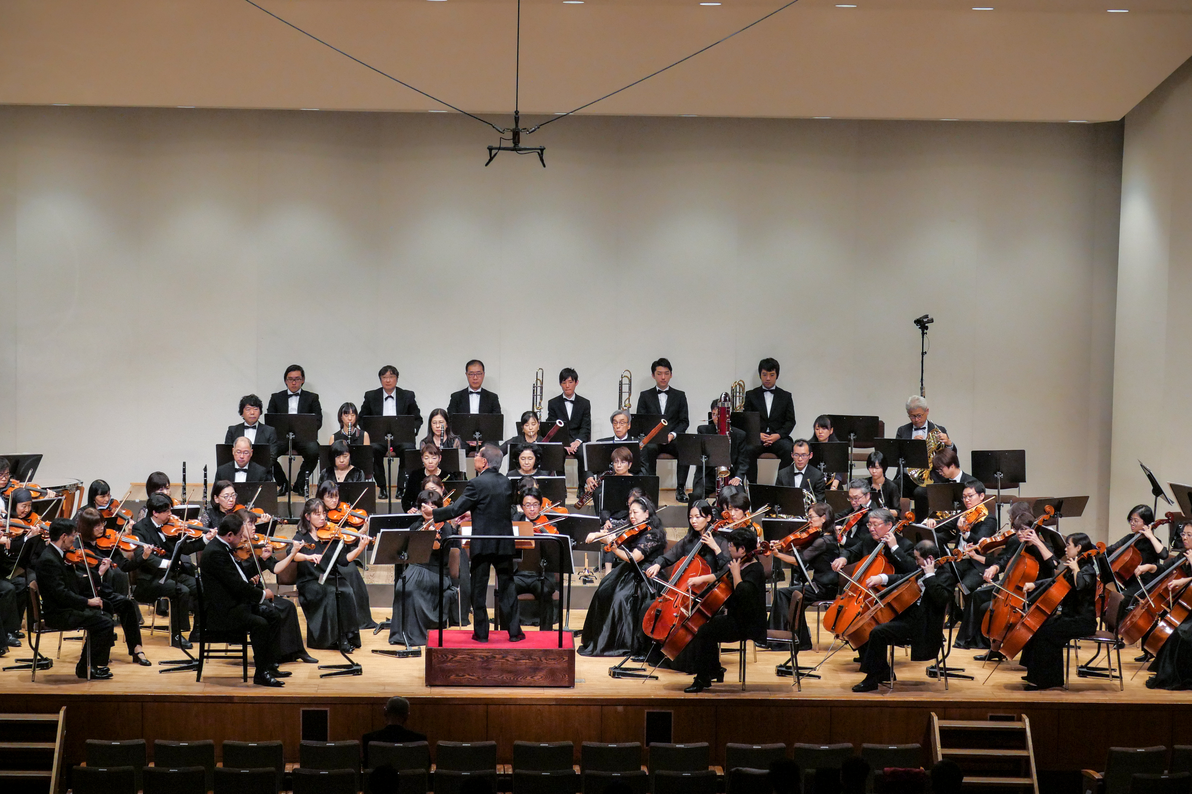P1038799.jpg