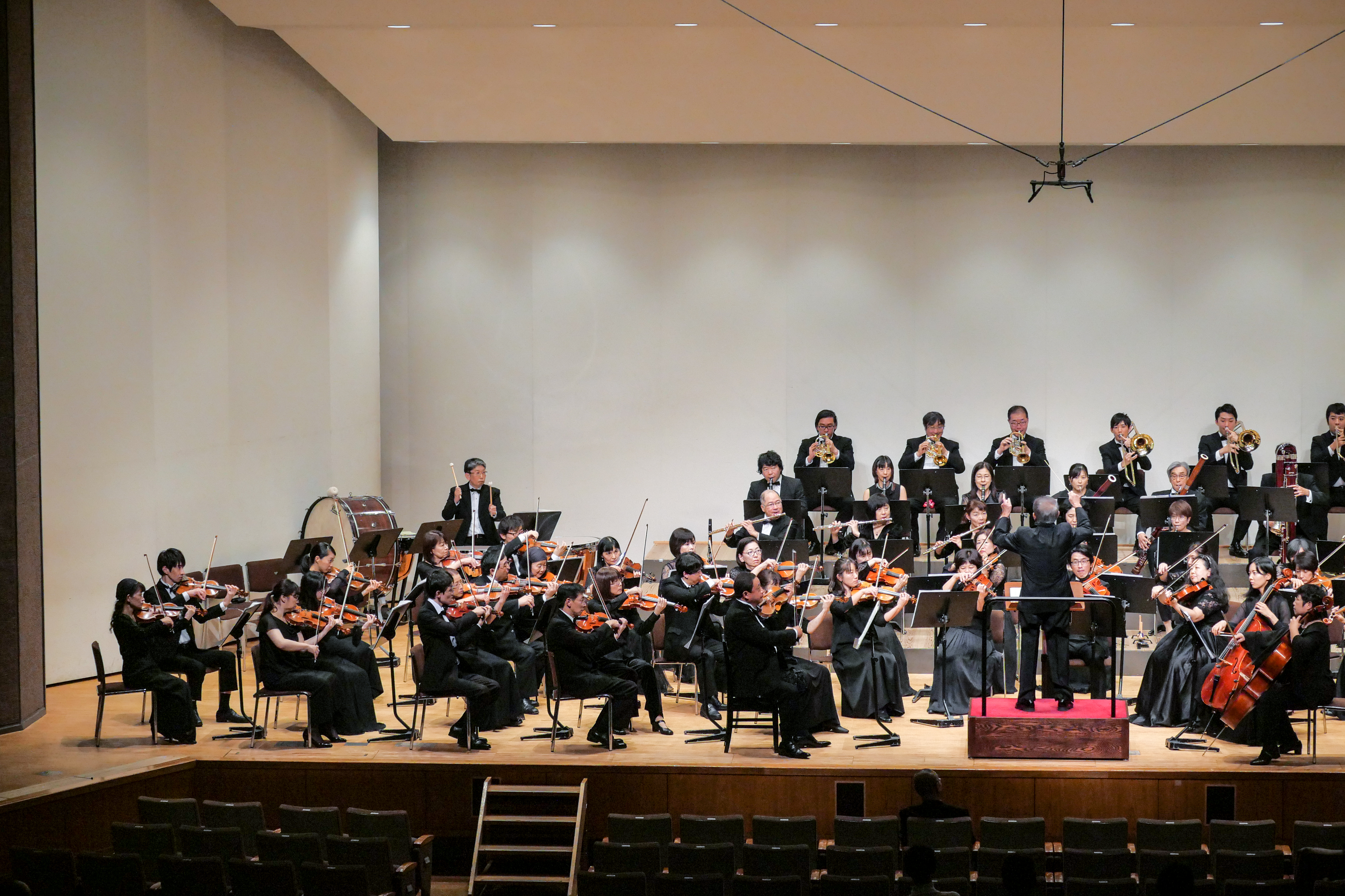 P1038865.jpg